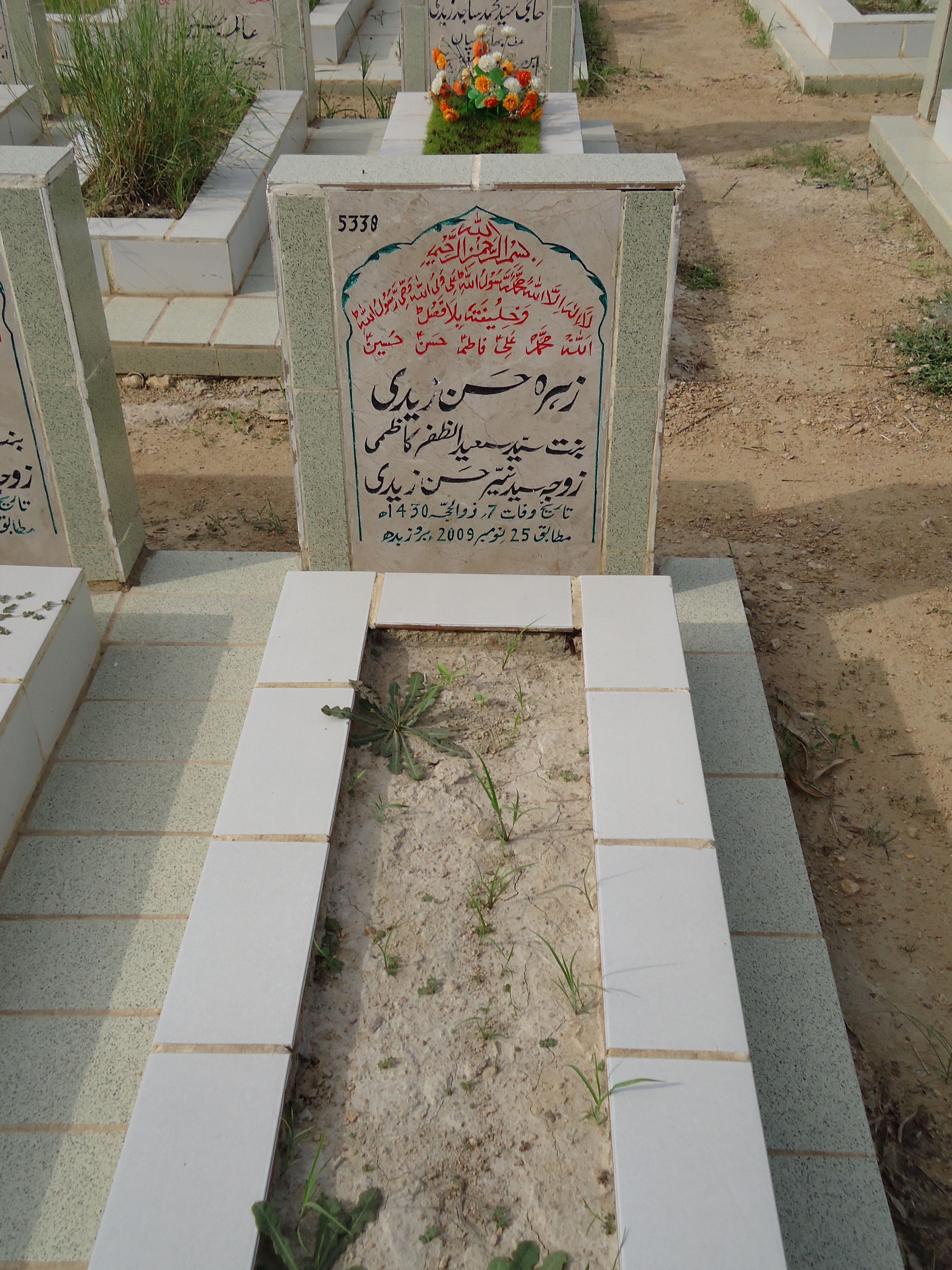 5338 – Zehra Hasan Zaidi
